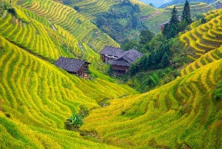 資訊圖片