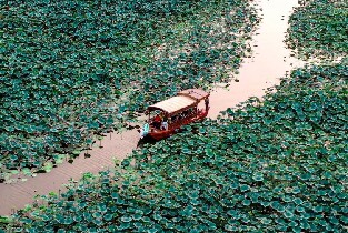 江門古勞水鄉旅遊區橫海泛舟遊船票(單程6公裏)圖片