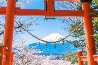 產品圖片
