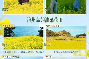 資訊圖片