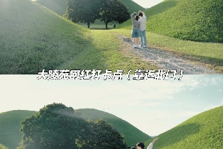 資訊圖片