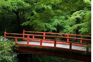 產品圖片