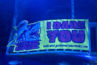 吉隆坡城中城水族館門票圖片