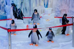 檳城南極雪世界門票