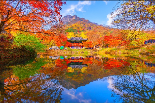 資訊圖片