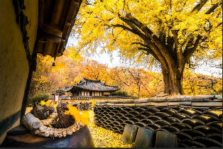 資訊圖片