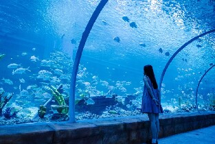 夏日避暑地——佛山南海海洋親子樂園圖片