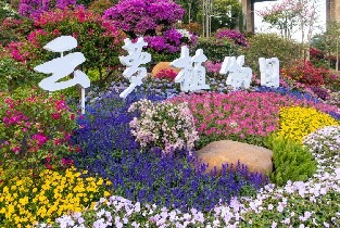 產品圖片