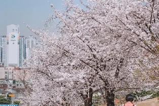 資訊圖片