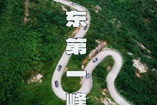 資訊圖片