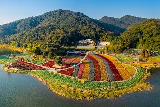 廣州石門國家森林公園