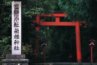 新富士山D線精品小團一日遊