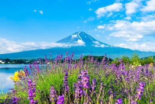 富士山羅森麥當勞雙網紅打卡一日遊