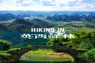 資訊圖片