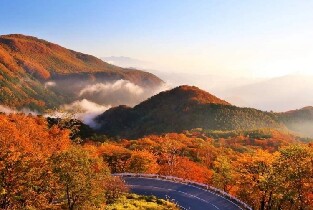 東京出發 | 日光東照宮+伊呂波坂+輪王寺巴士赏枫一日遊