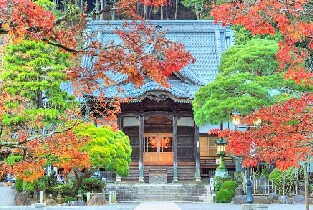 伊豆熱海梅園&修善寺溫泉賞楓聖地巡遊（每日發團，4人成行）