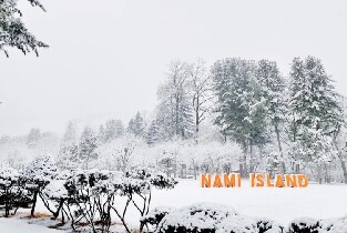 首爾出發 | 2025年韓國洪川大明維瓦爾第公園滑雪世界+南怡島一日遊圖片