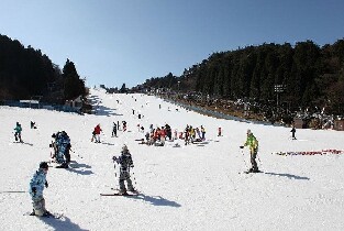 大阪出發 | 關西滑雪度假遊-神戶六甲山玩雪滑雪溫泉一日遊（每日發團，4人成行）