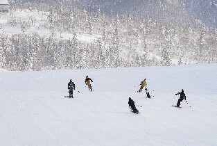 札幌出發 | 2025札幌國際滑雪場一日遊（每日發團，2人成行）