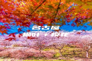 資訊圖片