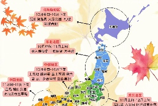 資訊圖片