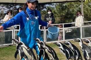 資訊圖片
