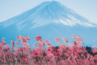 東京出發 | 富士山五合目、箱根和御殿場奧特萊斯一日遊（含午餐）圖片