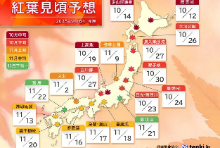 資訊圖片