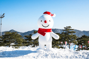 首爾出發 | 鮮採草莓+洪川大明冰雪世界雪橇+魚飛溪谷冰川一日遊