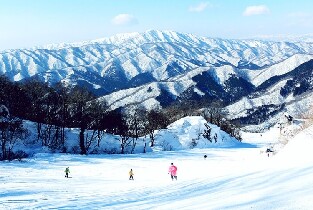 大阪出發 | 關西箱館山&奧伊吹滑雪溫泉度假別墅二日遊（每日發團）