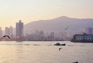釜山多彩之旅:天空膠囊列車, 札嘎其市場 & 港灣夜景一日遊