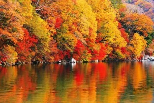 東京/新宿出發| 日光東照宮 伊呂波山道 中禪寺湖 華嚴瀑布一日遊