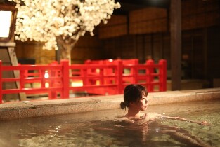 日本有馬溫泉 太閤之湯