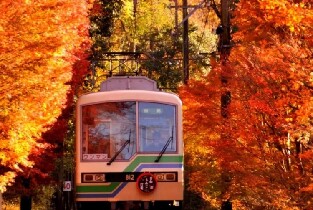 日本叡山電車 & 纜車往返車票