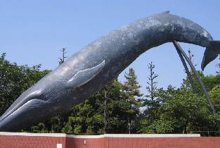 日本國立科學博物館門票