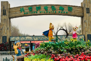 北京野生動物園門票