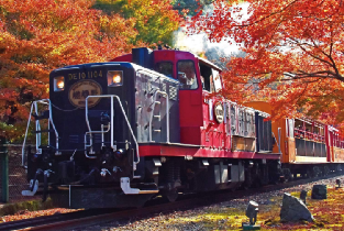 日本嵐山嵯峨野觀光小火車