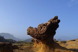 新北野柳地質公園門票