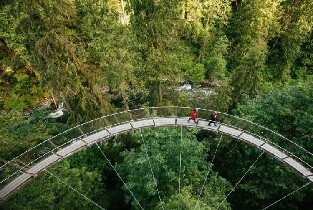 加拿大溫哥華市區一日遊(唐人街+皮卡拉諾吊橋公園+史丹利公園)