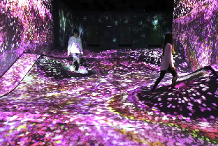 福岡teamLab森林美術館門票