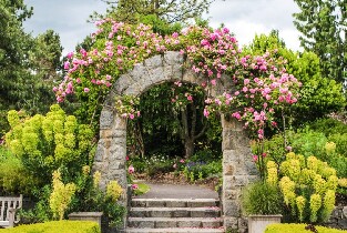 溫哥華範度森植物園(VanDusen Botanical Garden)