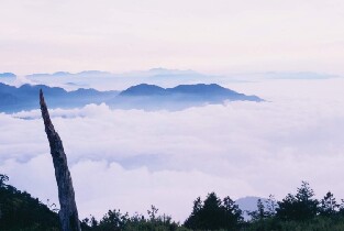 大雪山國家森林遊樂區門票
