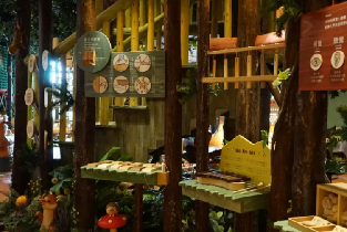 木育森林DIY課程體驗