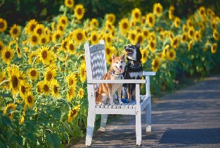 花開海上生態園