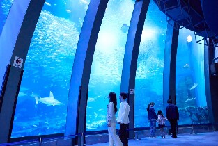 橫濱八景島海島樂園門票