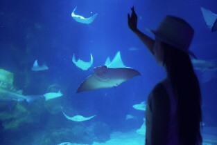 上海長風海洋世界