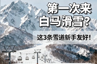 資訊圖片
