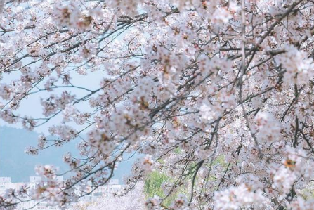 資訊圖片
