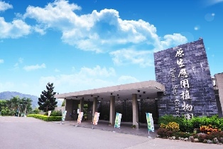 資訊圖片