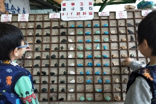 資訊圖片